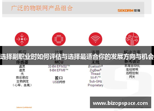 选择副职业时如何评估与选择最适合你的发展方向与机会